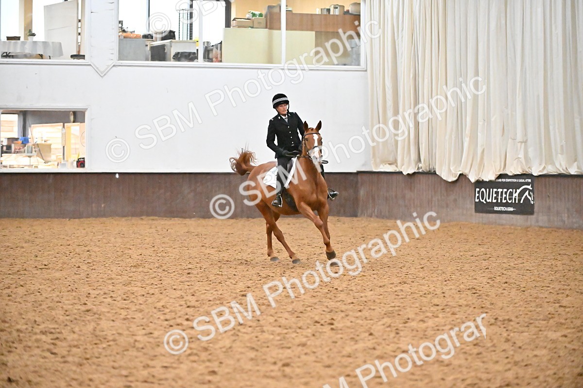 SBM_003016 - Class 37,38 - UKPSAF Performance Horse & Pony