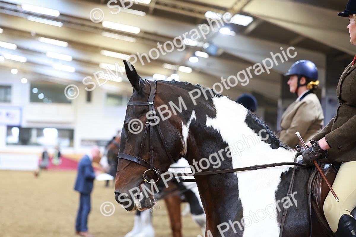 SBM_09668 - Class 102 - HOYS Veteran Qualifier - Ridden Veteran