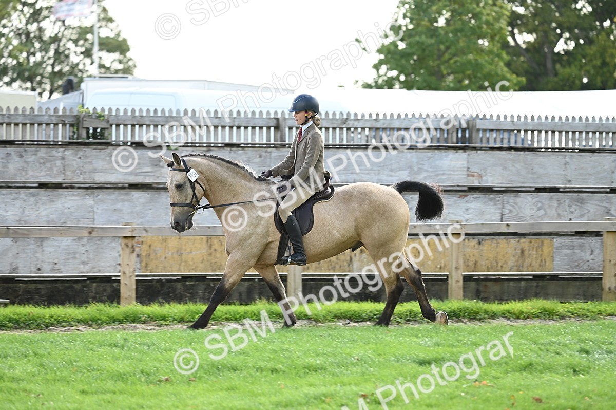 SBM_01881 - S2 - TSR Ridden Horse Showing