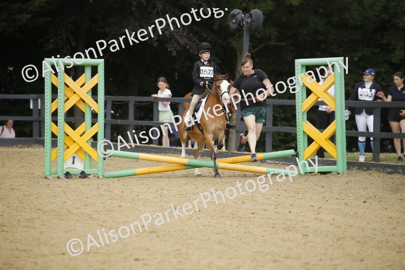 20250622-1486 - 40cm