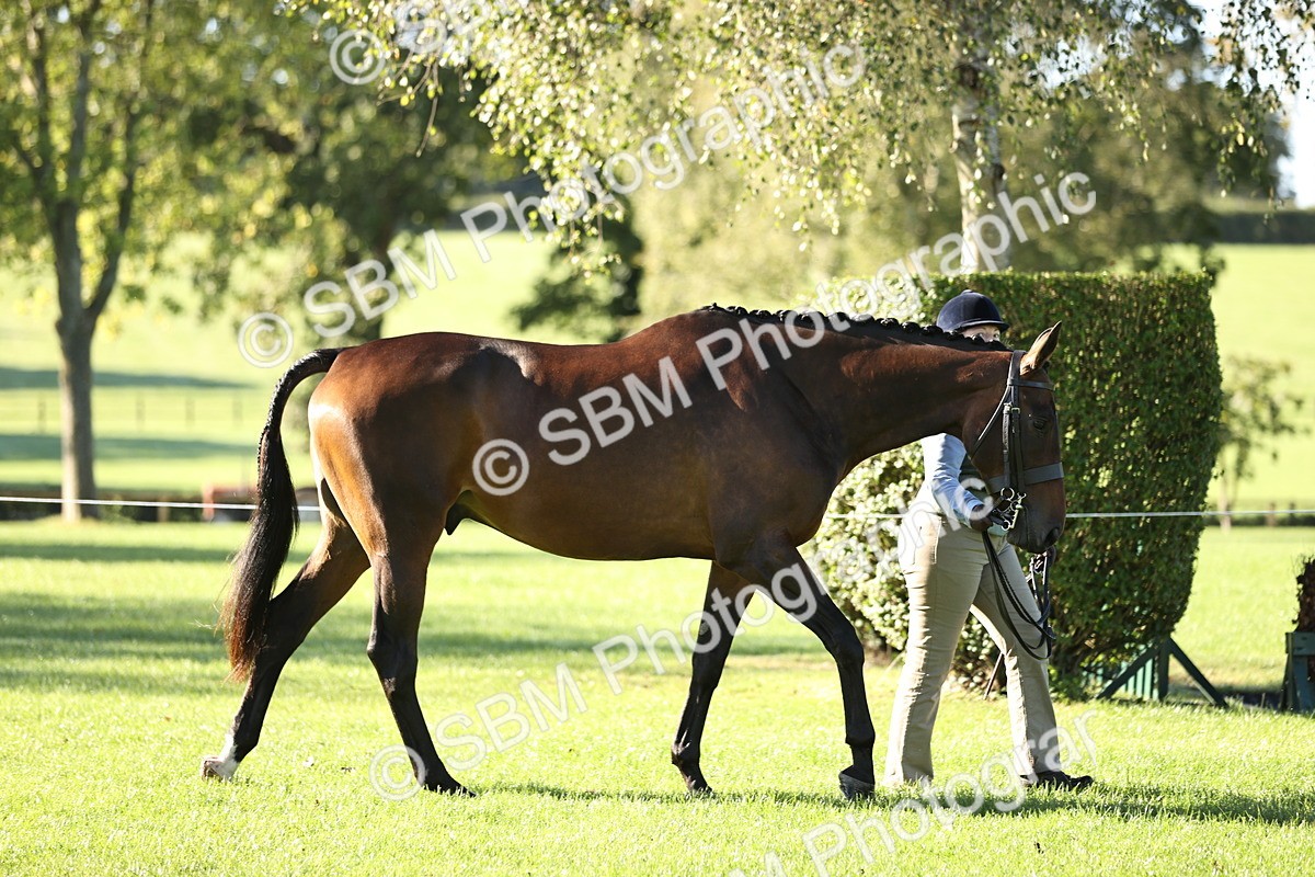 SBM_15767 - S1 - TSR in Hand Horse & Pony Showing