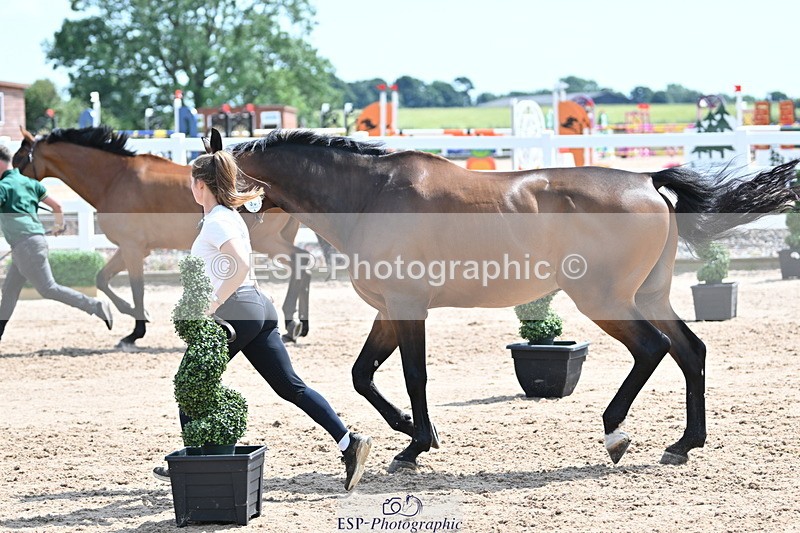 240717A-150035-02433 - Trot Up 3pm to 4pm