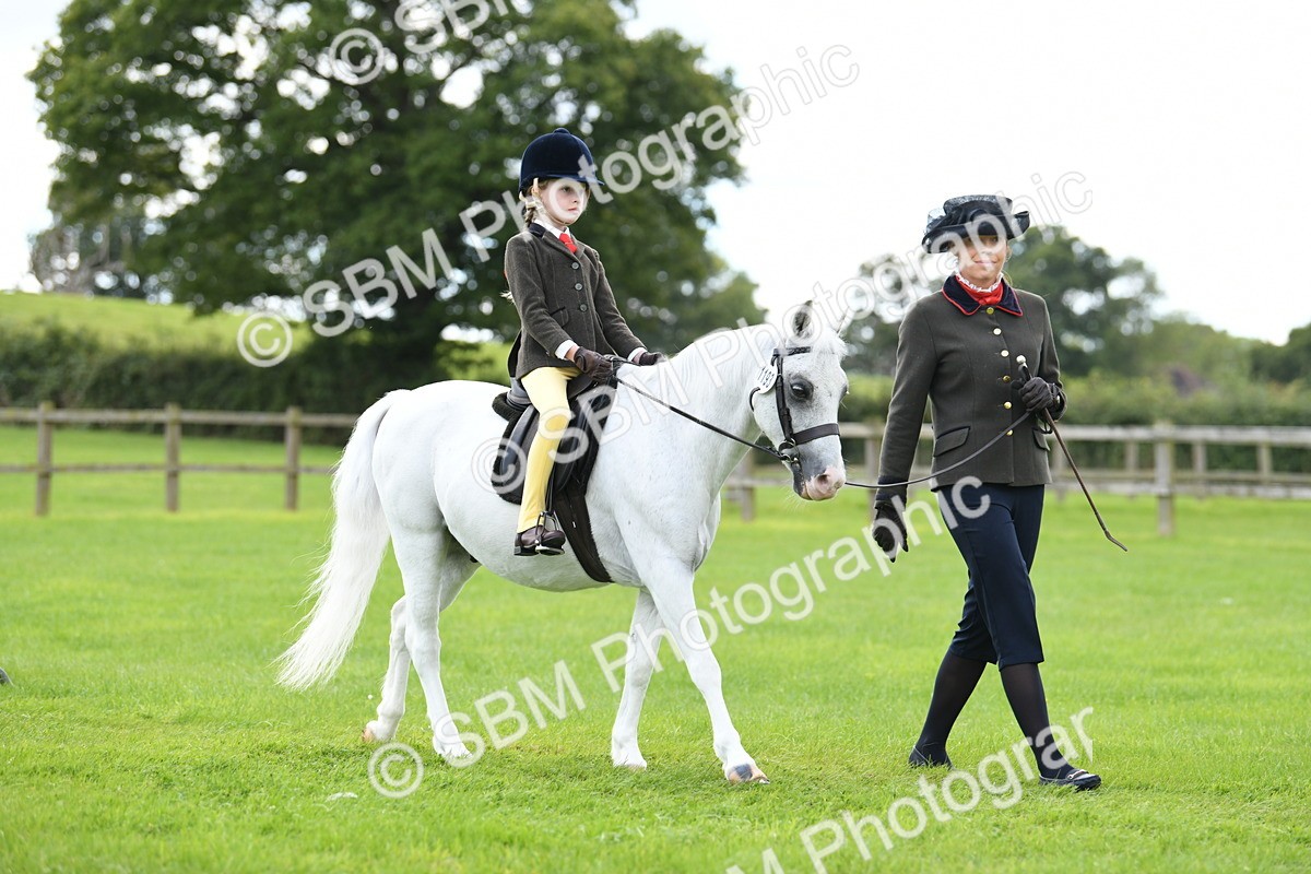 SBM_42413 - S20 - Lead Rein Mountain & Moorland Pony
