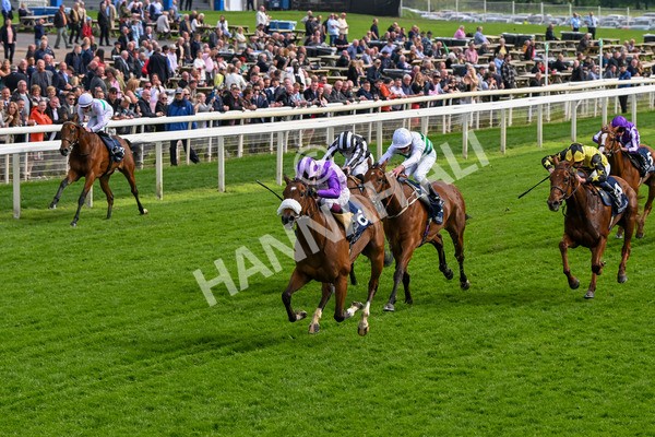150524-Race 4-Secret Satire-4220 - Race 4 3.45pm Tattersalls Musidora Stakes