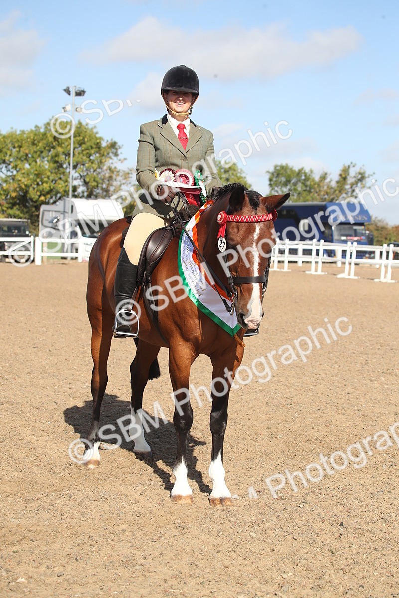 SBM_22730 - Class 601 - 2026 - Area - Ridden Diamond