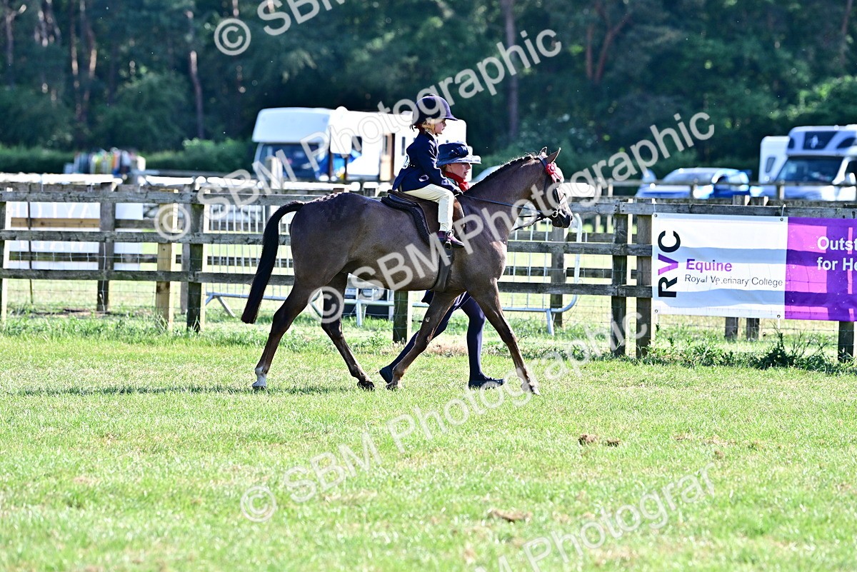 SBM_19801 - Class 103 - 105 - TSR Ridden Amateur of the Year Plaited Ponies