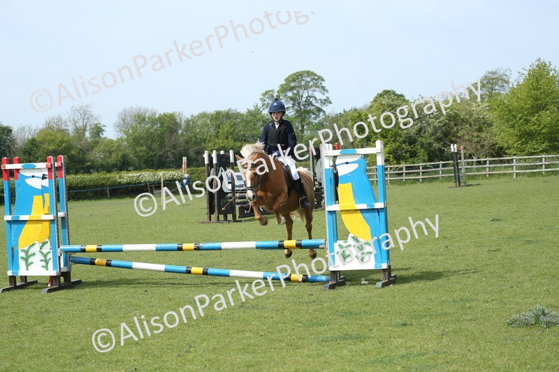 20260426-1741 - Class 14 - Novice 60cm
