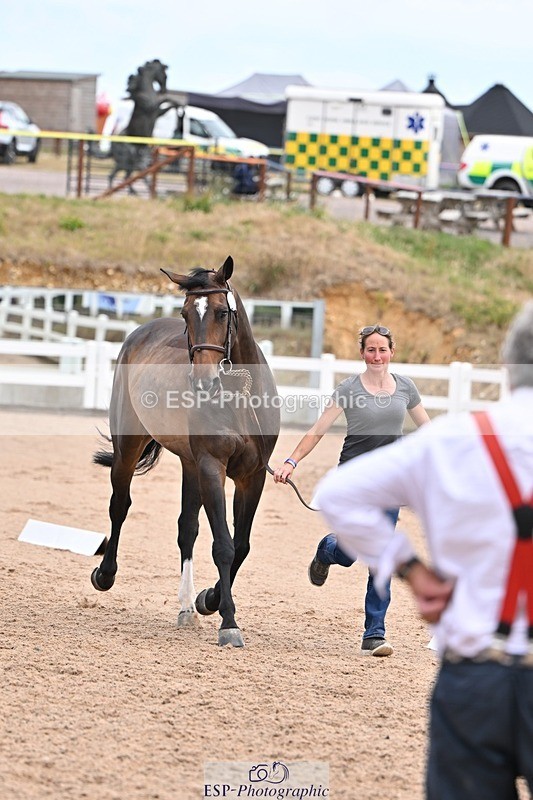 250716-135713-00811 - Trot Up 1.30 to 2.30