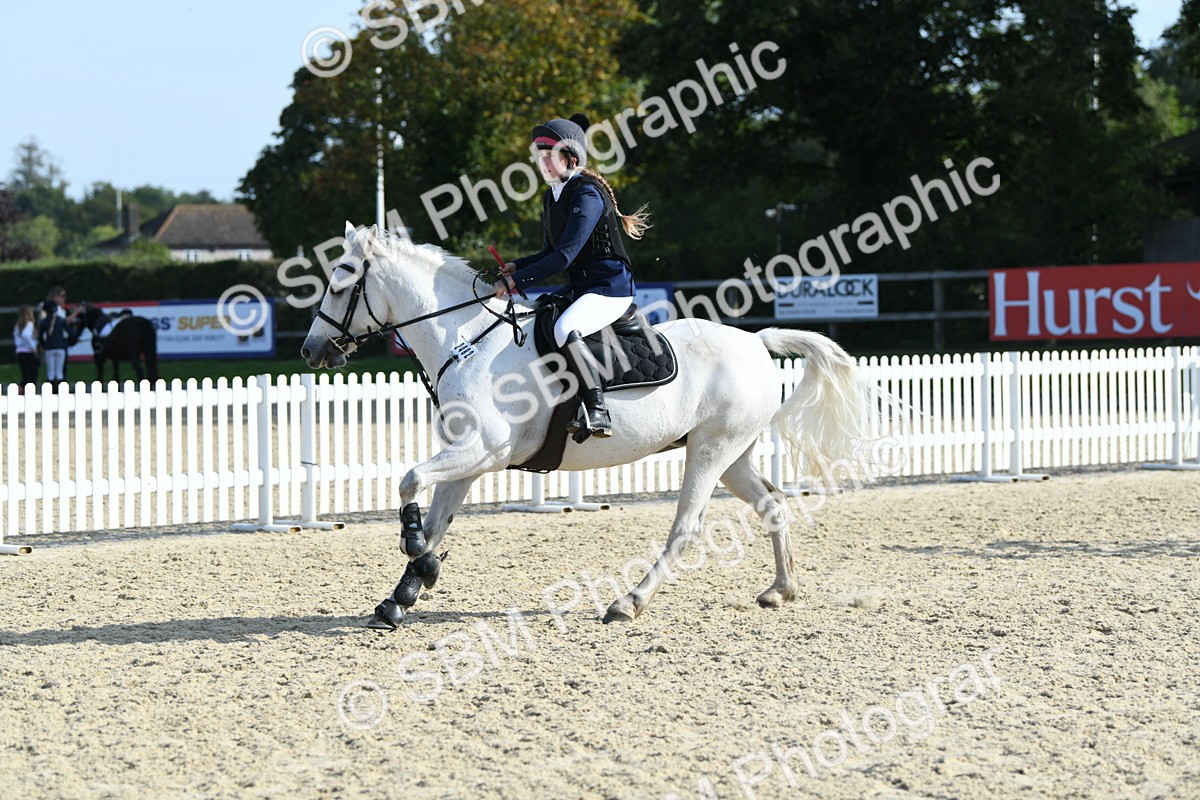 SBM_60653 - j25 - Junior Horse 80cm Championship
