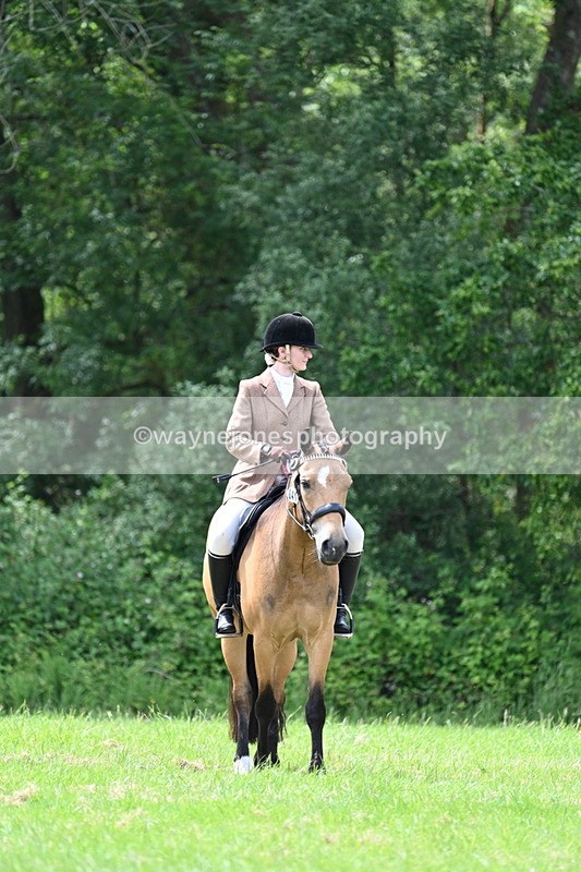 WJ7_2713 - Class 12A Coloured Class