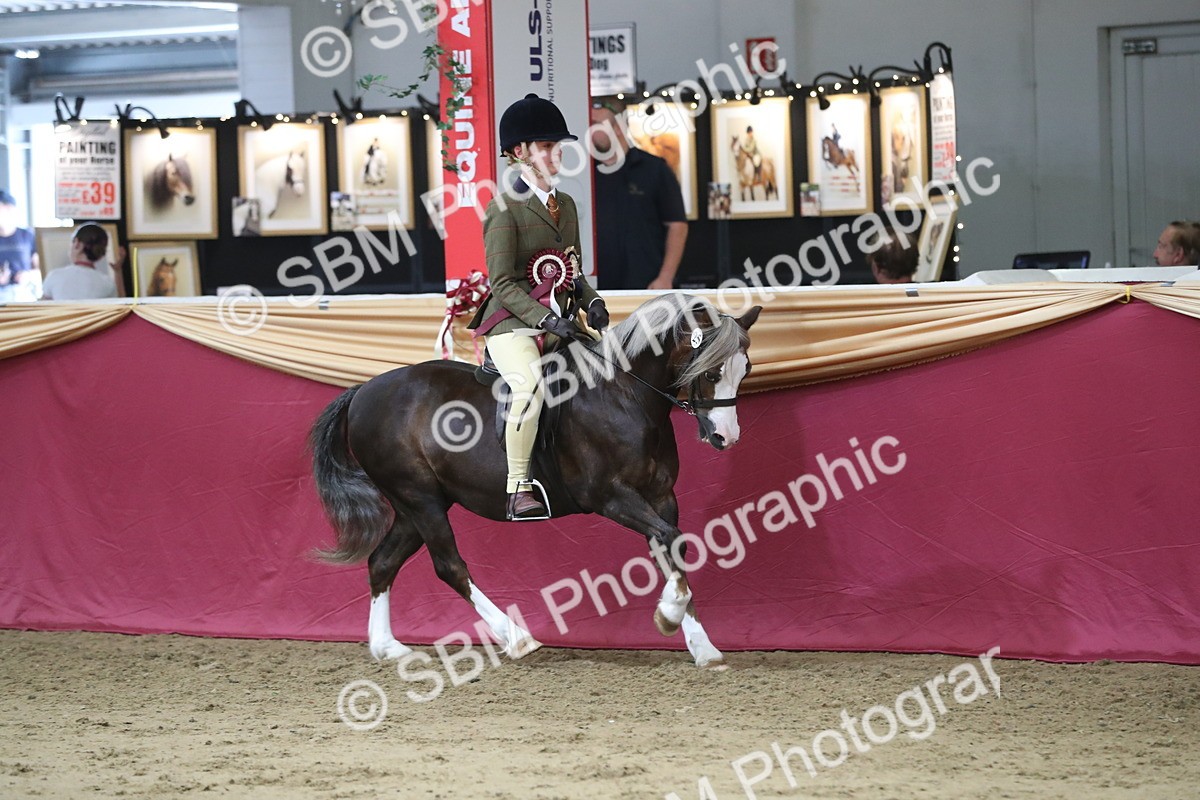 SBM_07366 - Class 10R Regional Ridden Diamond