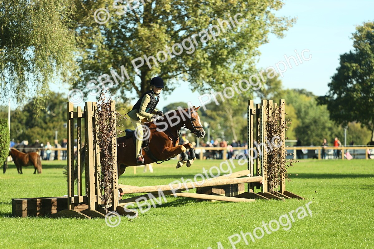 SBM_36419 - S29 - Novice & Newcomers Working Hunter Pony