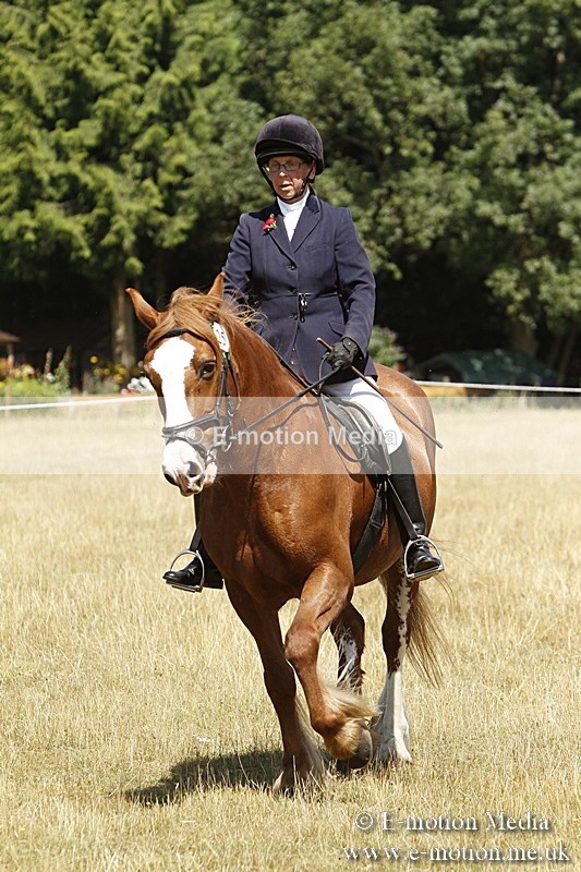 _BS_0826 - BVRC Show 2018 Ring 1