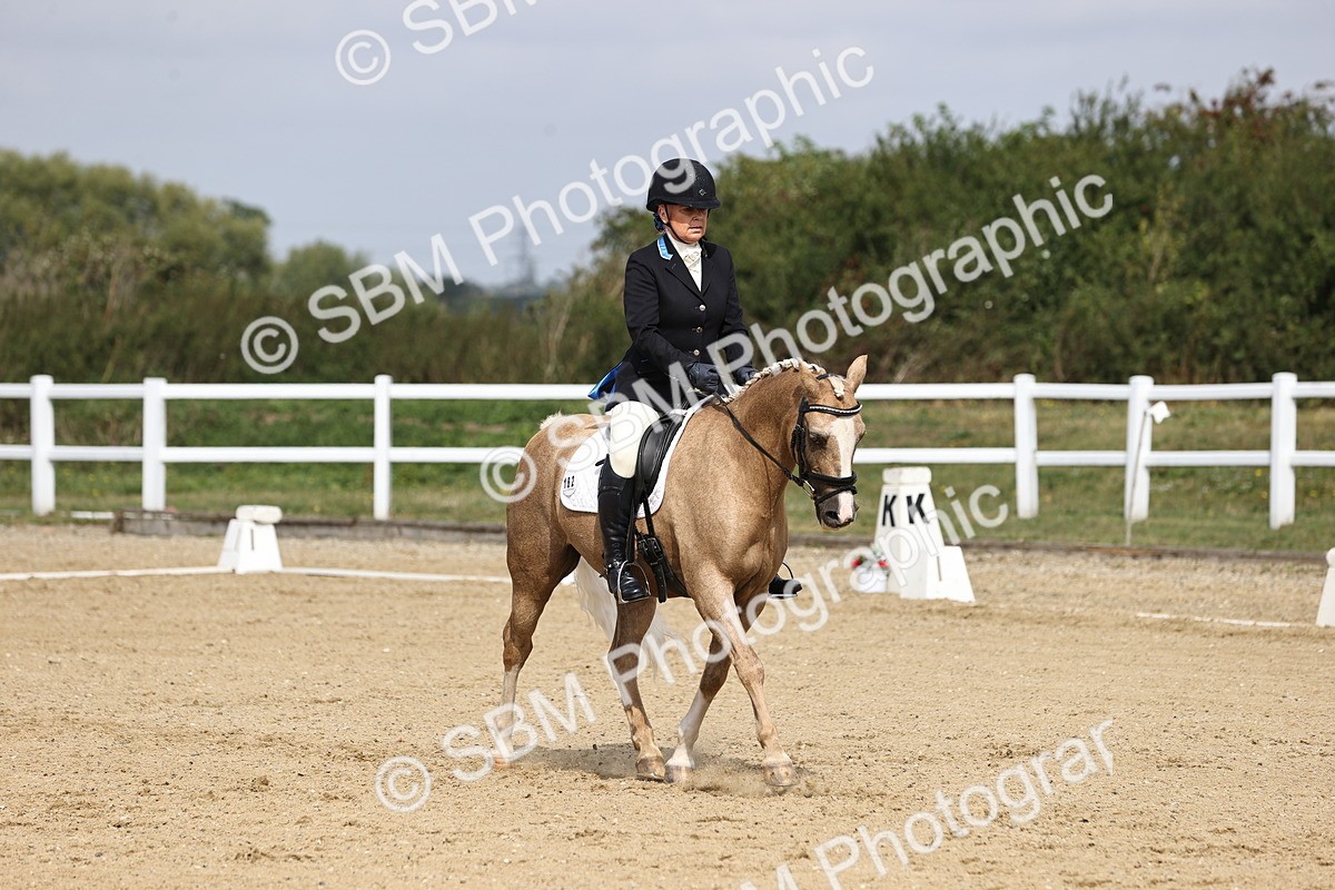 SBM_016208 - Class 14 - Novice 23 - 10.29-11.32