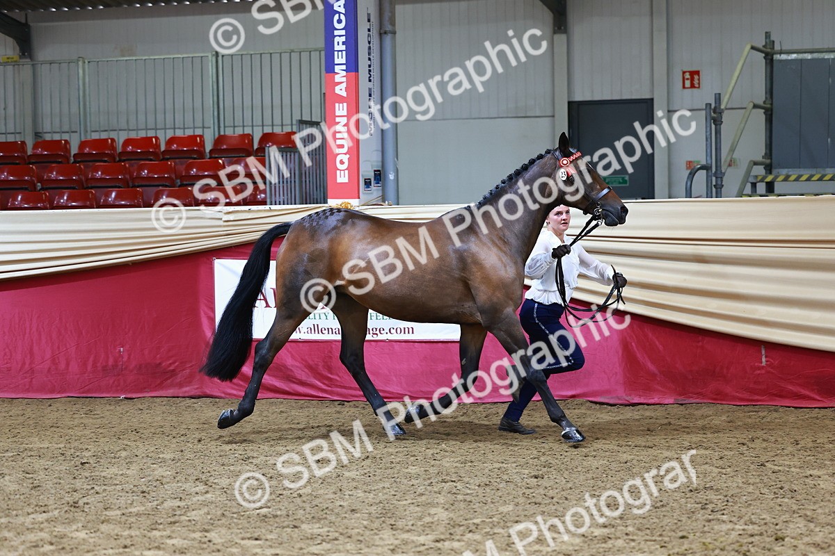 SBM_22151 - Class 902 - Supreme Final - IH Diamond