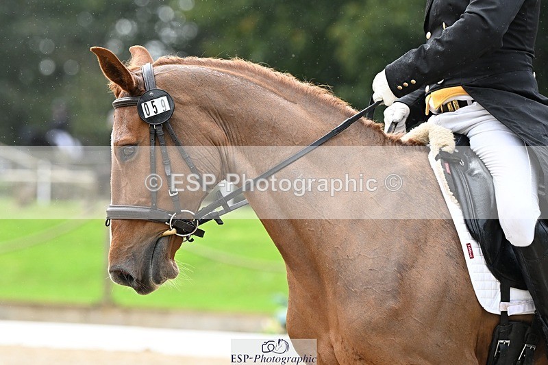 231019-145728-04321 - 059-MINNIE.MANOEUVREZ-Mark.Ford-DR