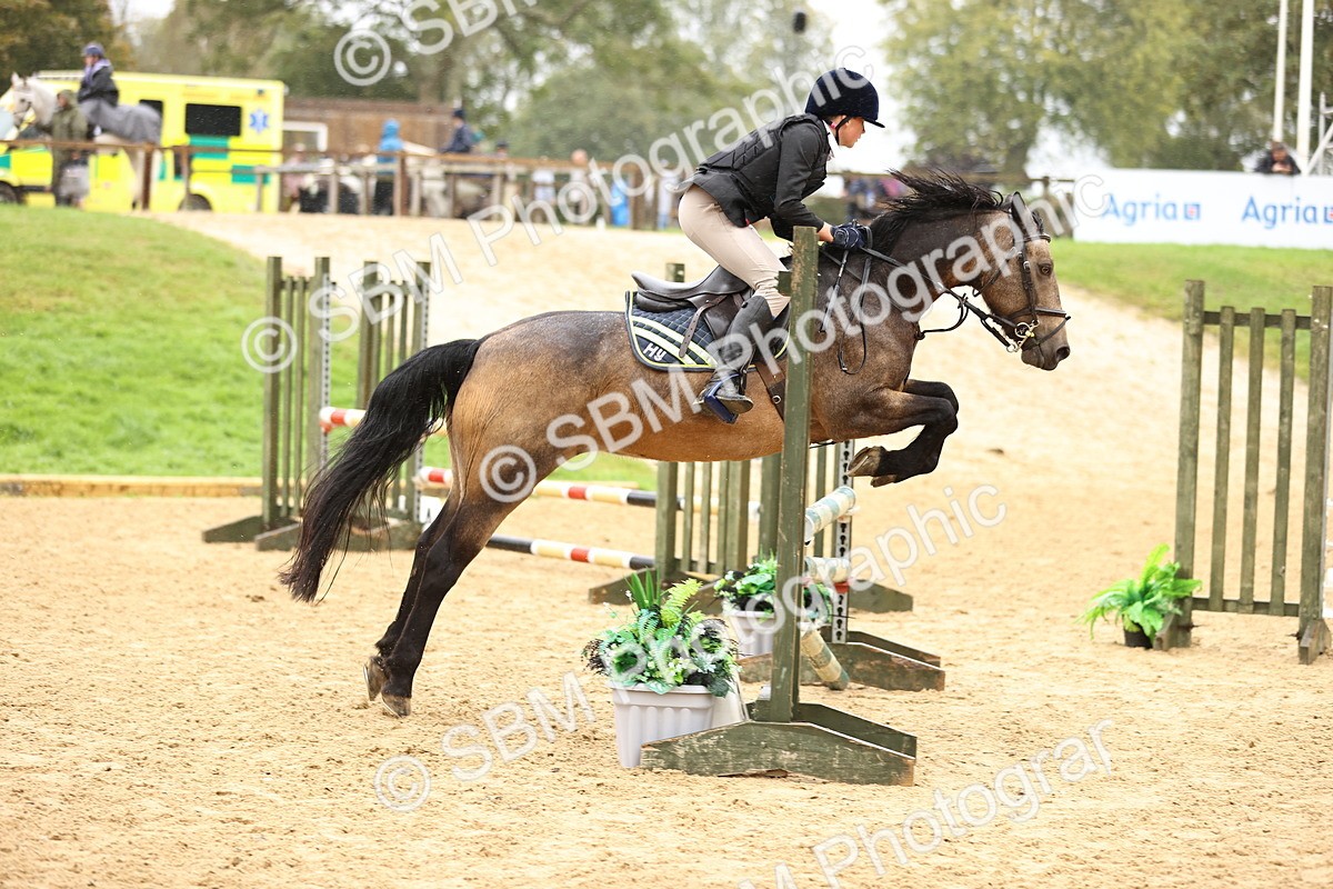 SBM_70016 - Supreme Championship 80cm 85cm