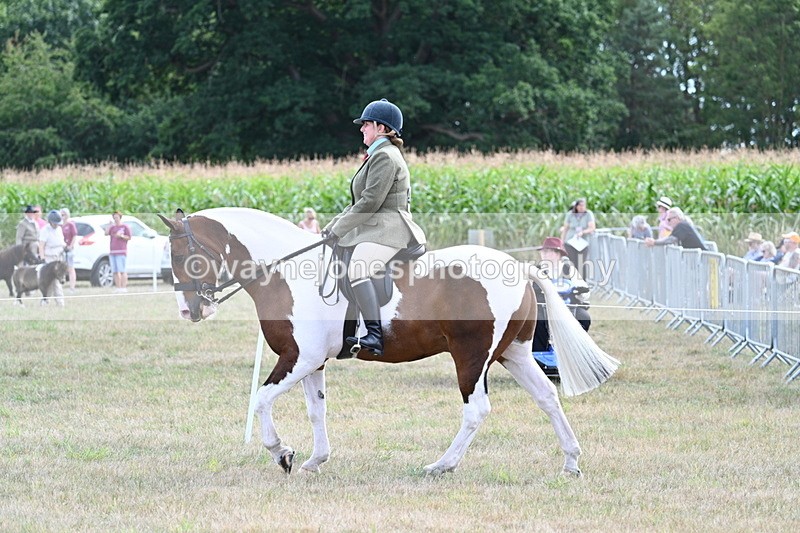 WJ7_7007 - Class 14 Ridden Coloured