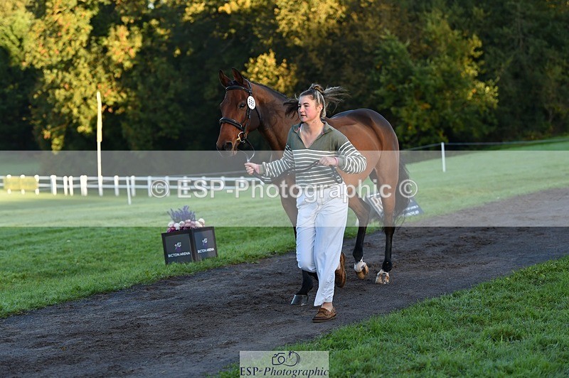 231022-085122-21403 - 668-BOWHAYLANDS.SKYFALL-Miya.Johns-TrotUp+SJ