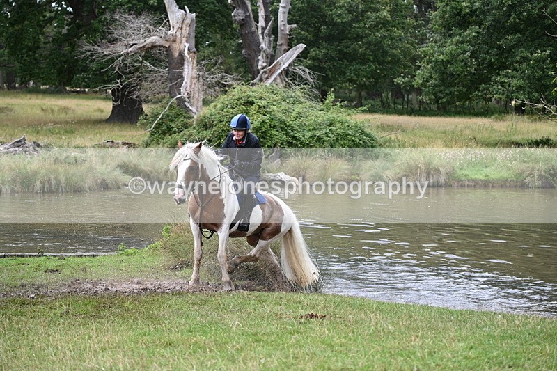 WJ7_5051 - Time at Water 14:00 to 14:53