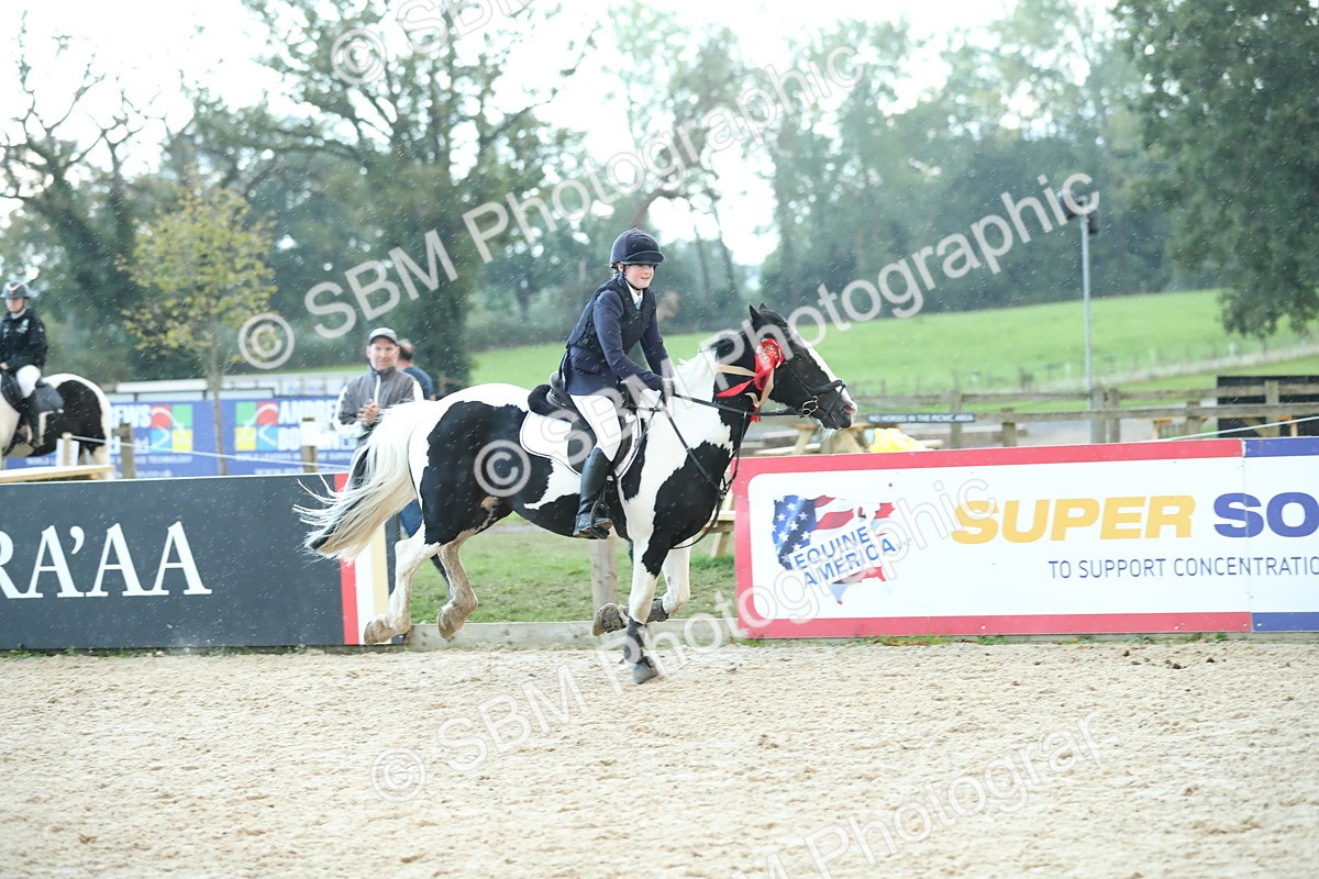 SBM_53803 - Supreme Championship 65cm 70cm