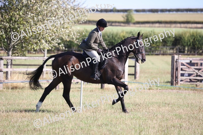 20260906-0368 - Class 14 - Ex Racehorse