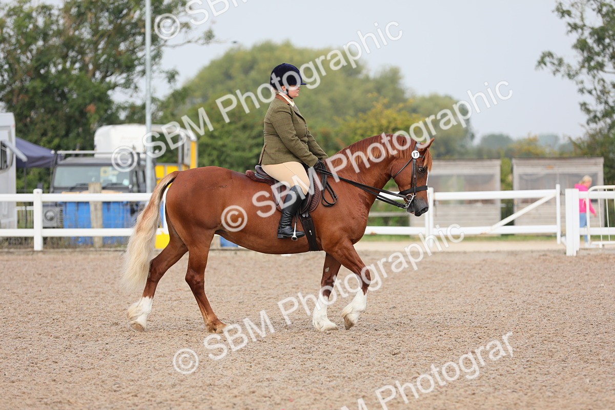 SBM_09962 - Class 302 Ridden M&M -Large Breeds