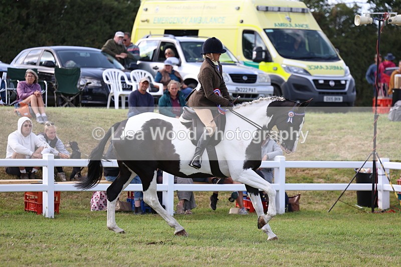 3E7A3860 - Supreme Championship