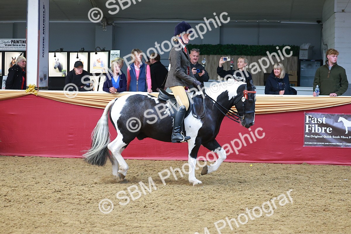 SBM_12728 - Class 103 - HOYS Veteran Qualifier - Ridden Pre Vet