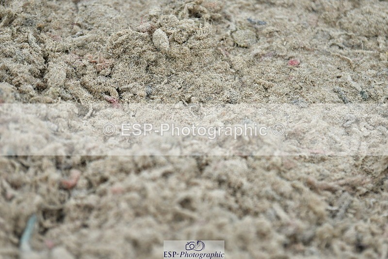 230504A-142022-02010 - Cls 5 1.05m Amateur Quali