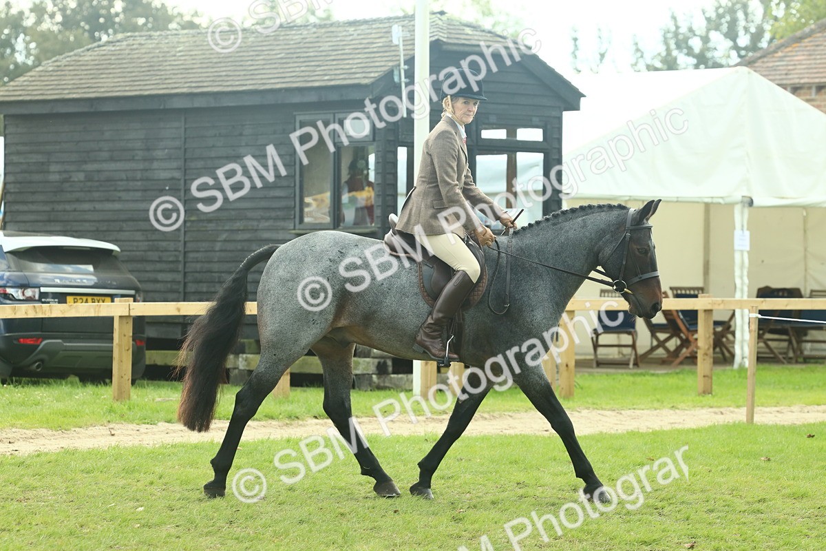SBM_62587 - S63 - Other Coloured Horse Ridden