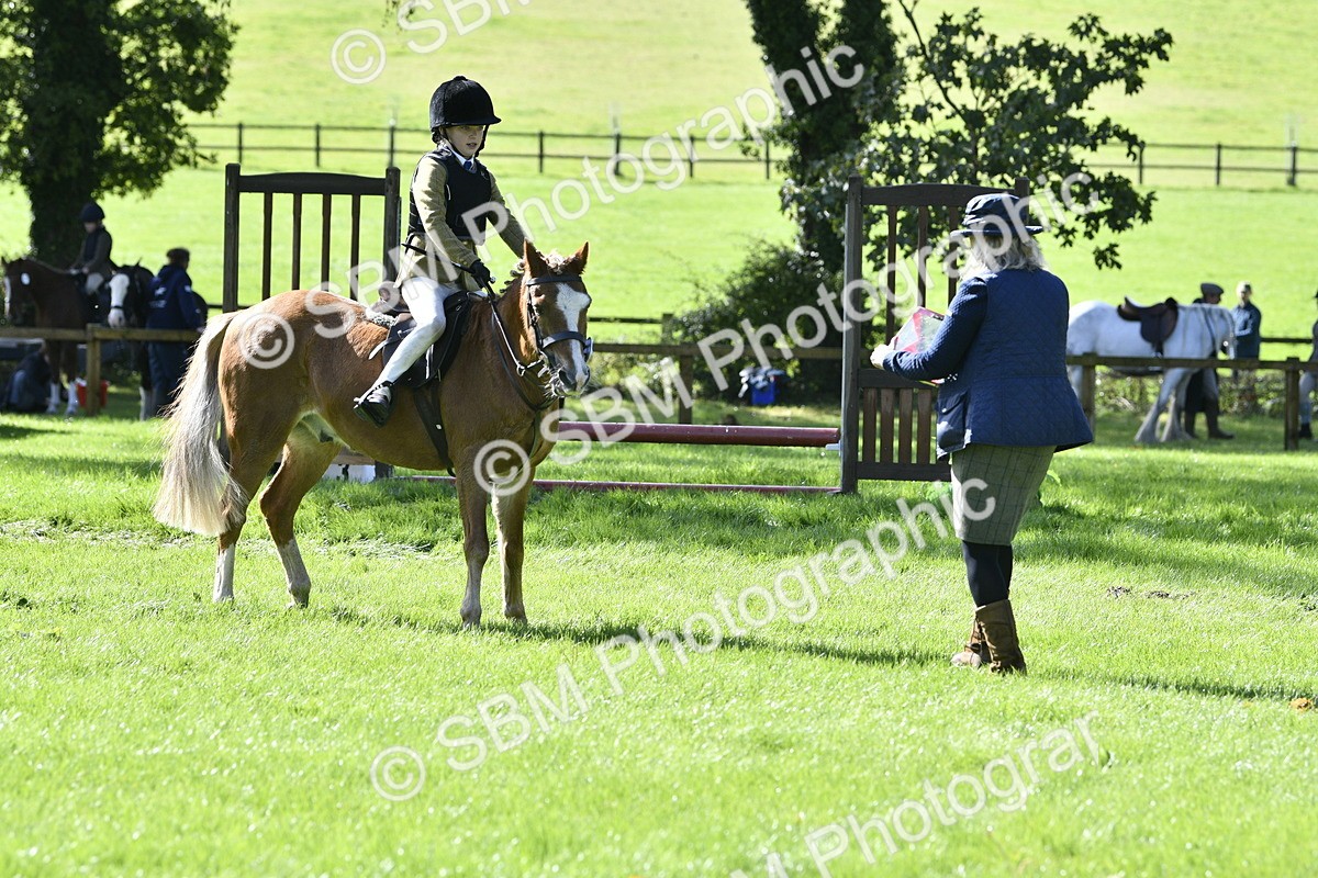 SBM_38214 - S31 - Novice & Newcomer Working Hunter Pony