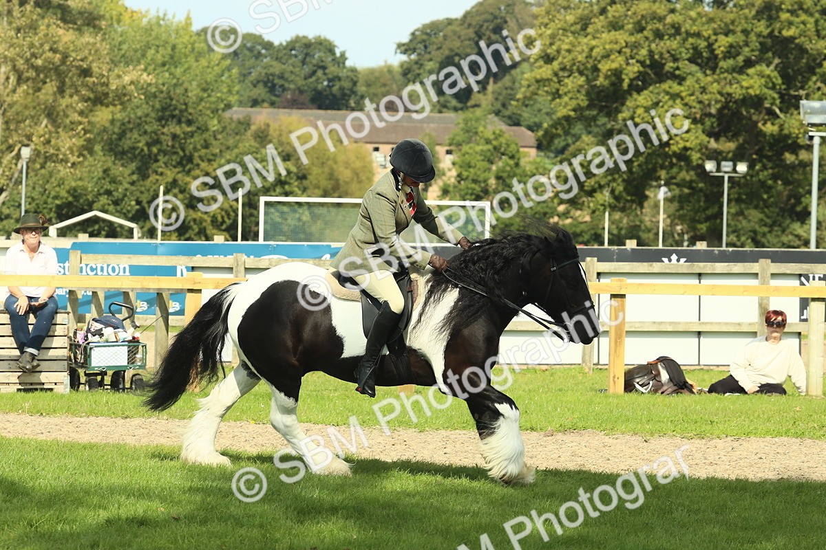 SBM_67581 - S56 - Coloured Pony Ridden