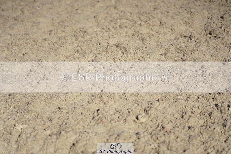 230624A-175646-02861 - Cls 33 1.05m Amateur Quali