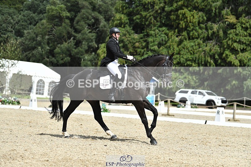 230812-140403-04589 - Cls 7 FEI PSG Bronze