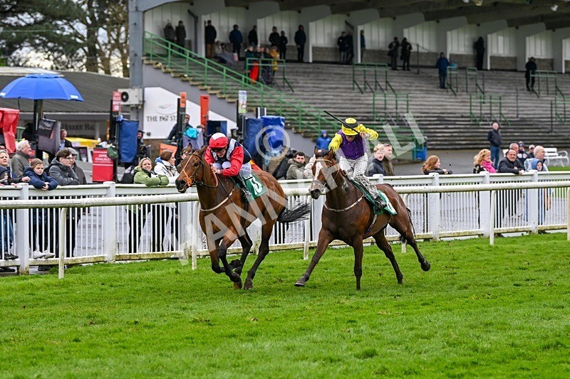  - Race 5