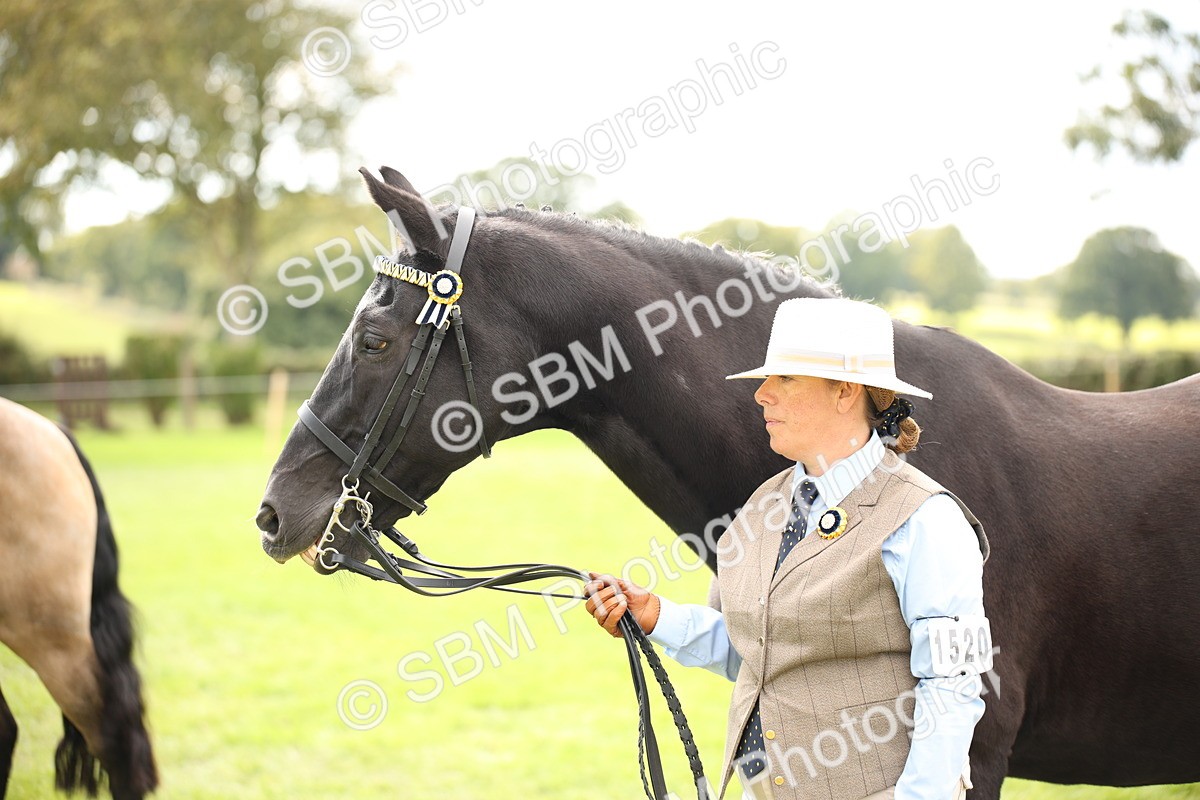 SBM_46369 - S25 - Mature Veteran In Hand