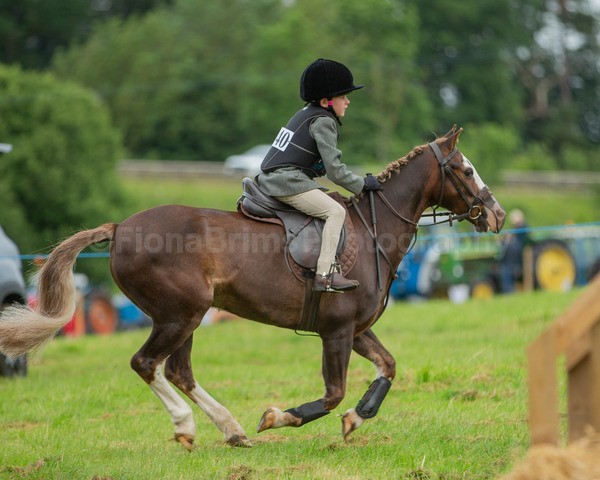 Dunblane show-25 - Dunblane and Doune Show Ring 1