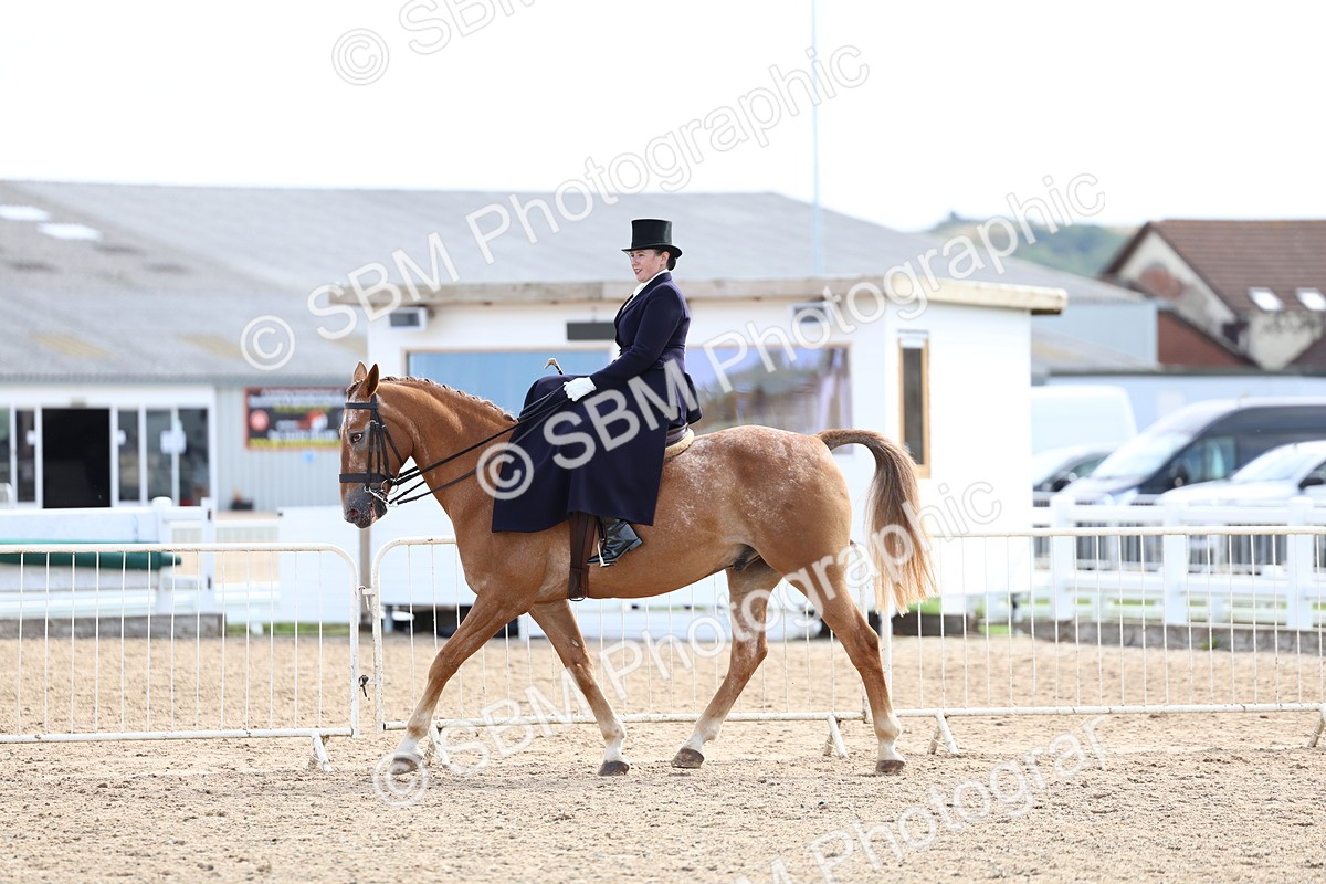 SBM_03245 - Class 22 - SSA Equitation (any age)