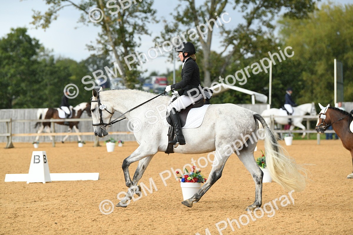 SBM_11182 - D28 Elementary Taster Elementary 42