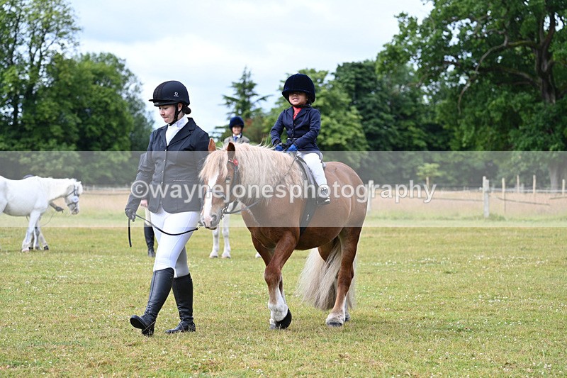 WJ7_4696 - Class 1 Lead Rein Pony