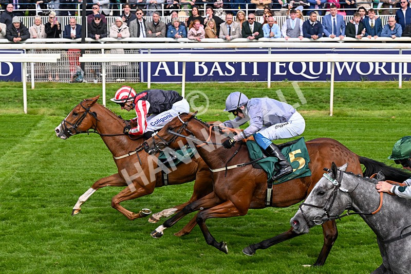 150526-Race 6-Fortification-0361 - Race 6 4.40pm Irish Thoroughbred Marketing Handicap