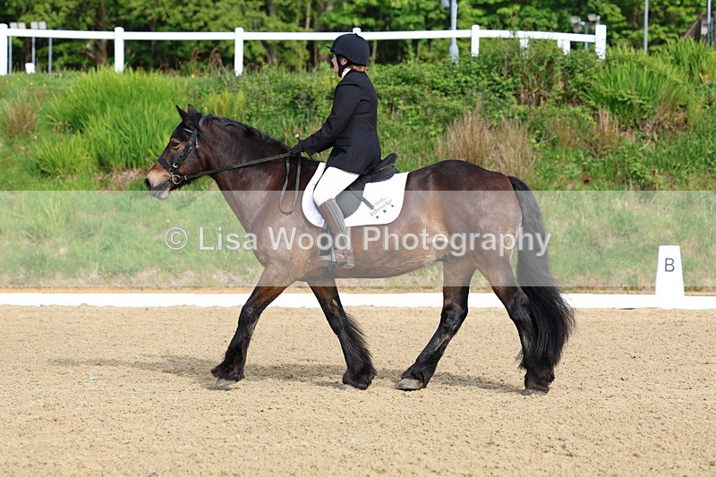 3E7A3316 - Class 2: INTRO B- INTRO 3 2024