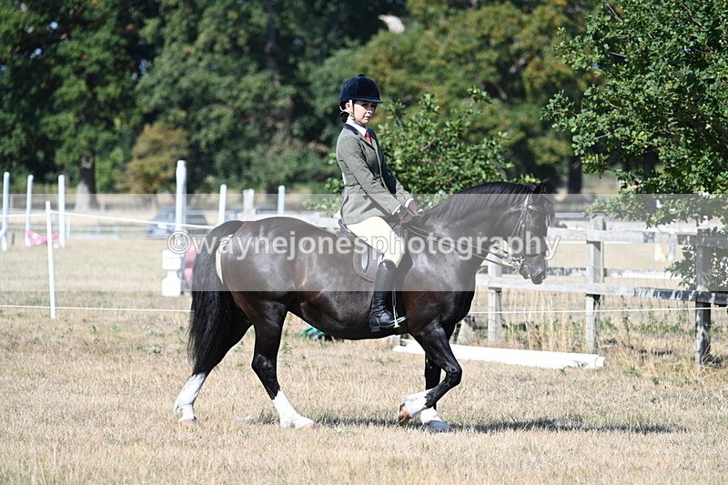 WJ7_3430 - Class 9 Mountain & Moorland Ridden