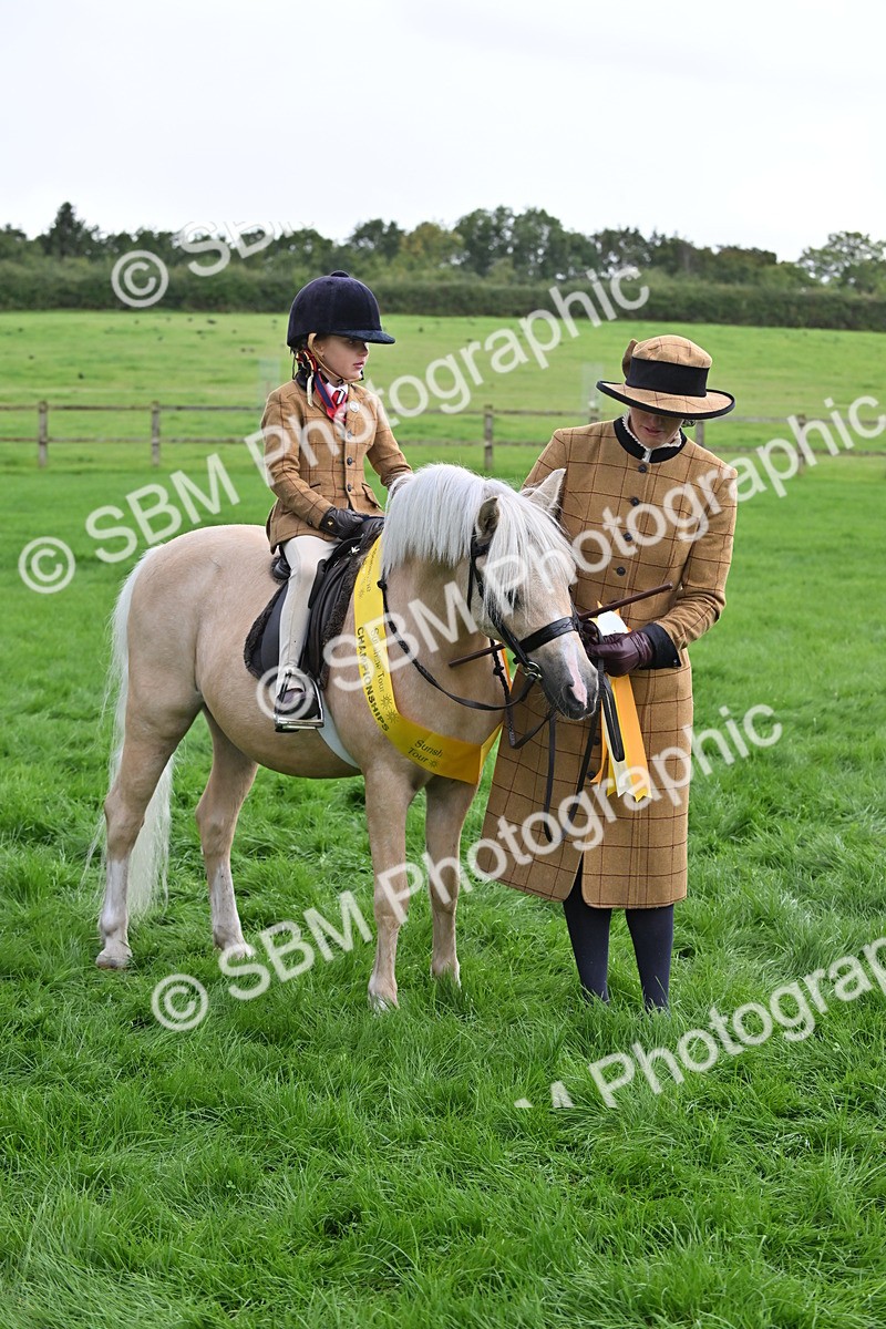 SBM_40150 - S20 - Lead Rein Mountain & Moorland Pony