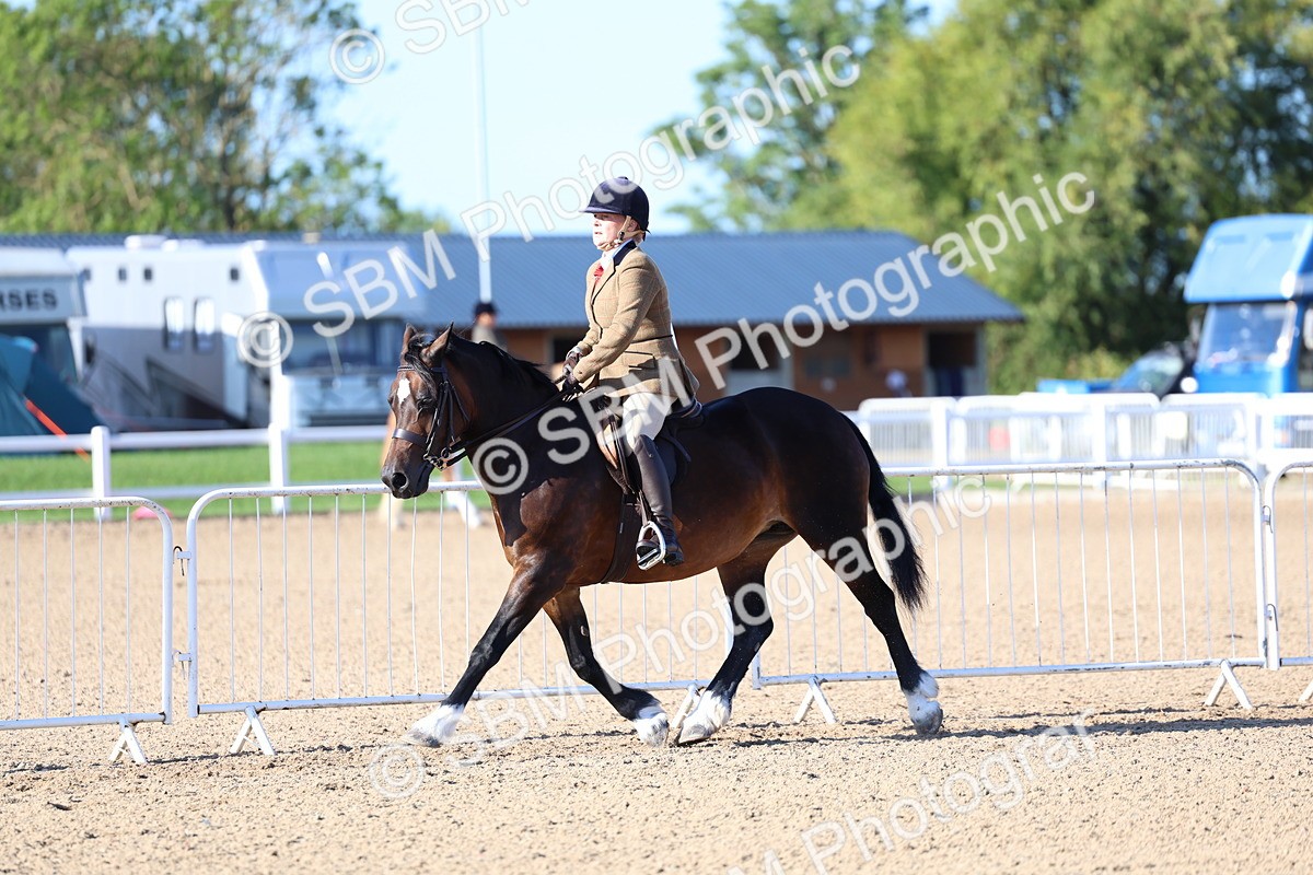SBM_08798 - Class 302 - Ridden M&M - Large Breeds