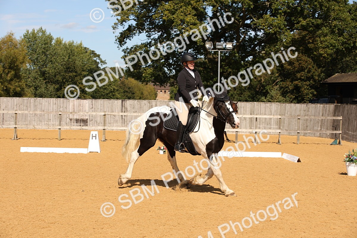 SBM_24121 - D5 - Small Tour Championship - Intro C