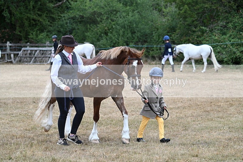 WJ7_8050 - Class 4 Prettiest Mare up to 14.2hh
