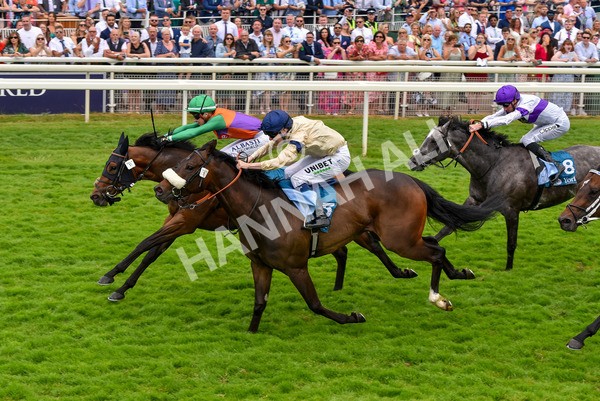 170623-Race 4-Quinault-7100 - Race 4 3.40pm Oakmere Homes Supporting Macmillan Sprint Handicap