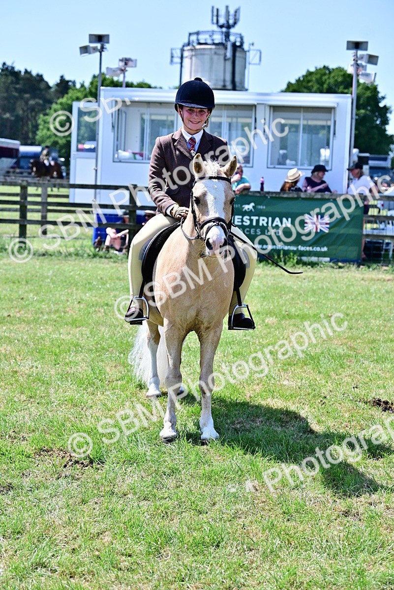 SBM_15363 - Class 95-97 - BSPS LHS Performance Ponies
